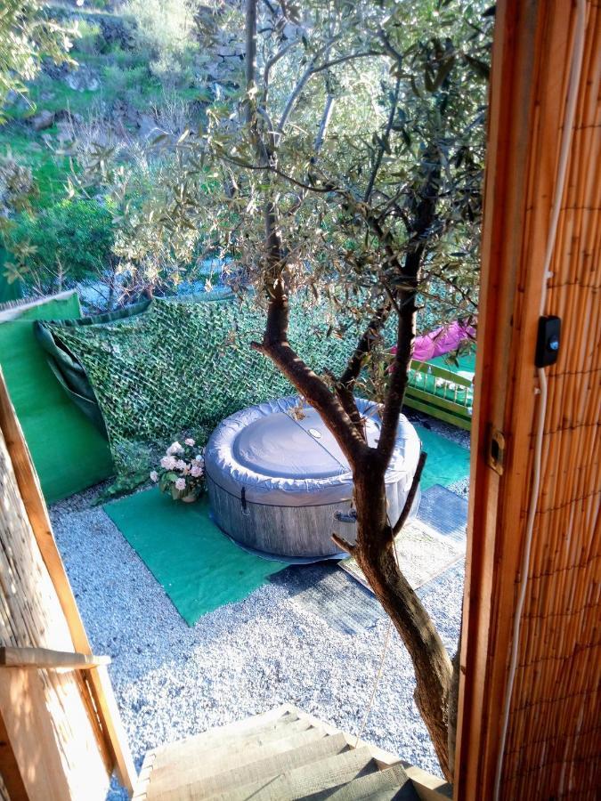 Treehouse ,Casa Arbol, With Spa Algarrobo Εξωτερικό φωτογραφία